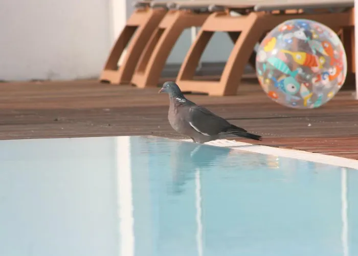 Luciana 酒店 比比翁